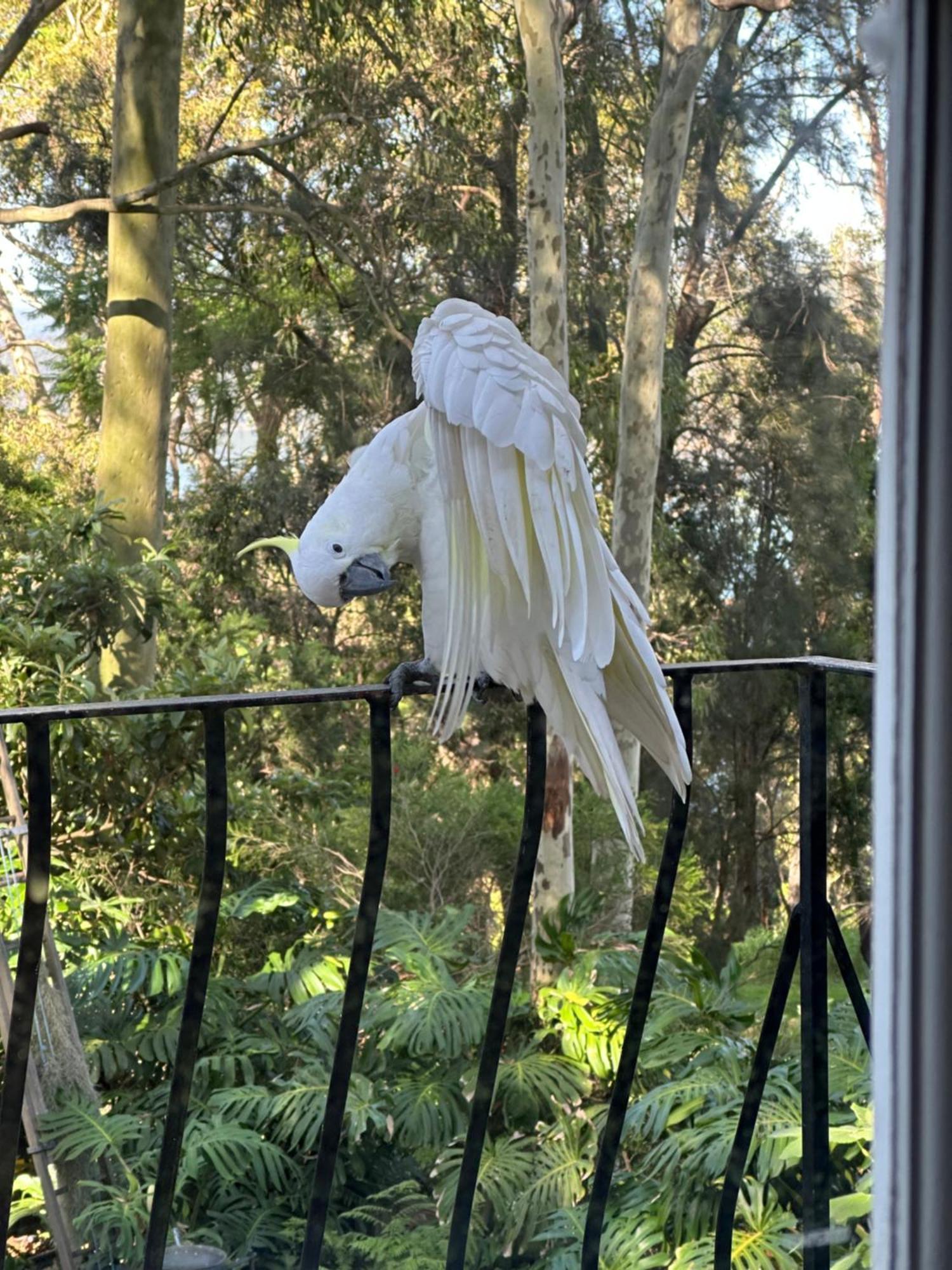 Palm Beach Bed & Breakfast Dış mekan fotoğraf