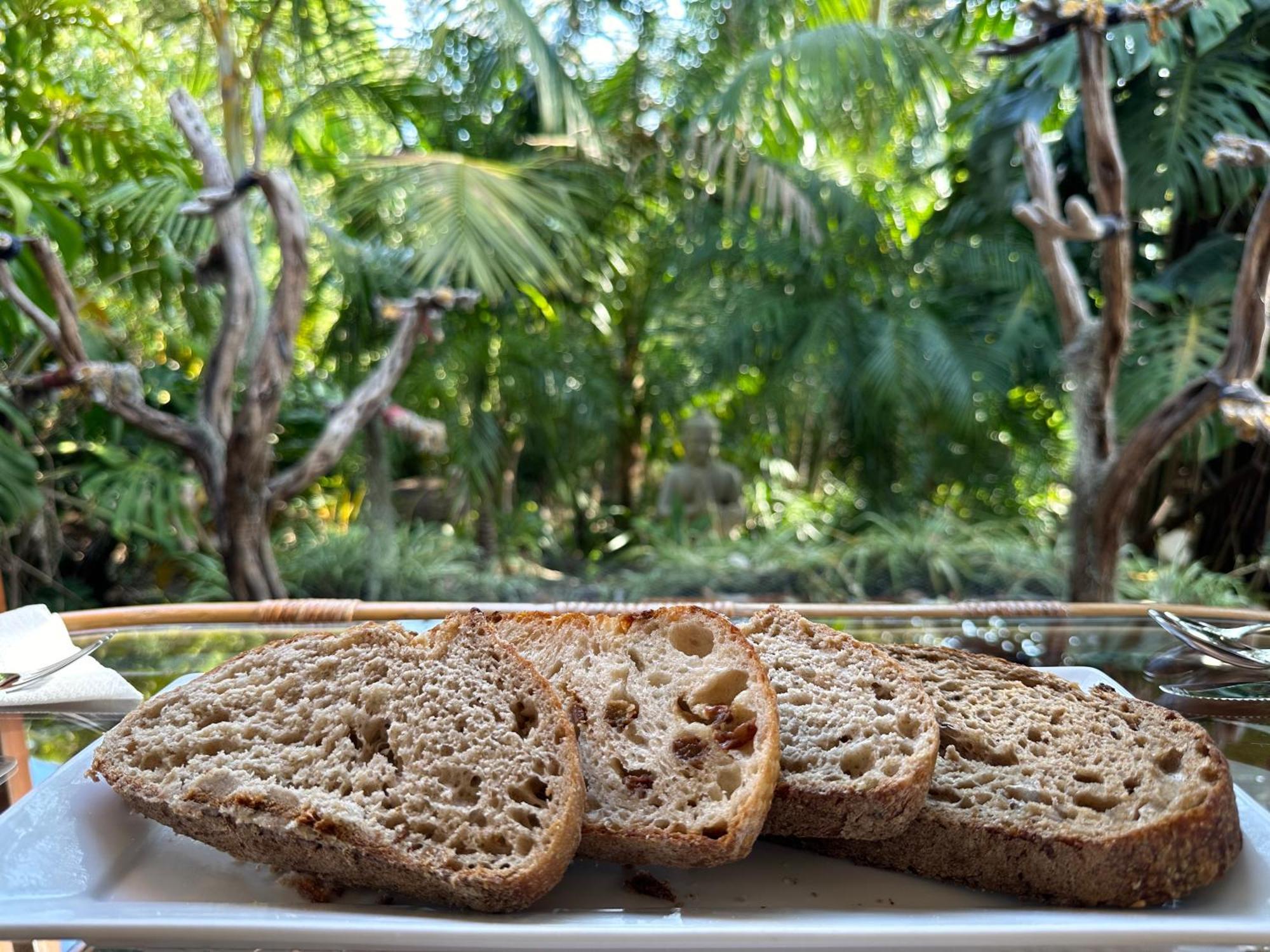 Palm Beach Bed & Breakfast Dış mekan fotoğraf