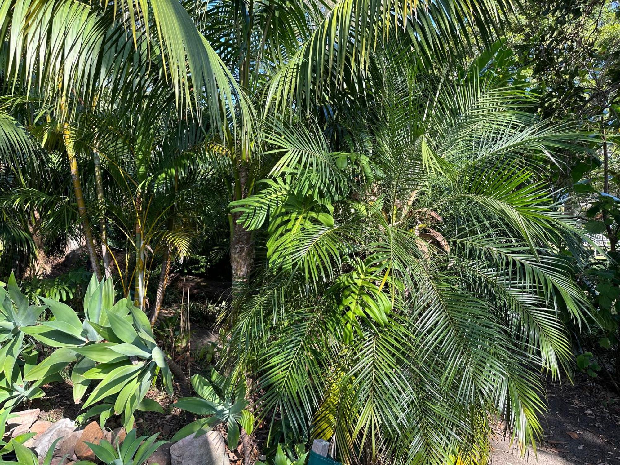 Palm Beach Bed & Breakfast Dış mekan fotoğraf