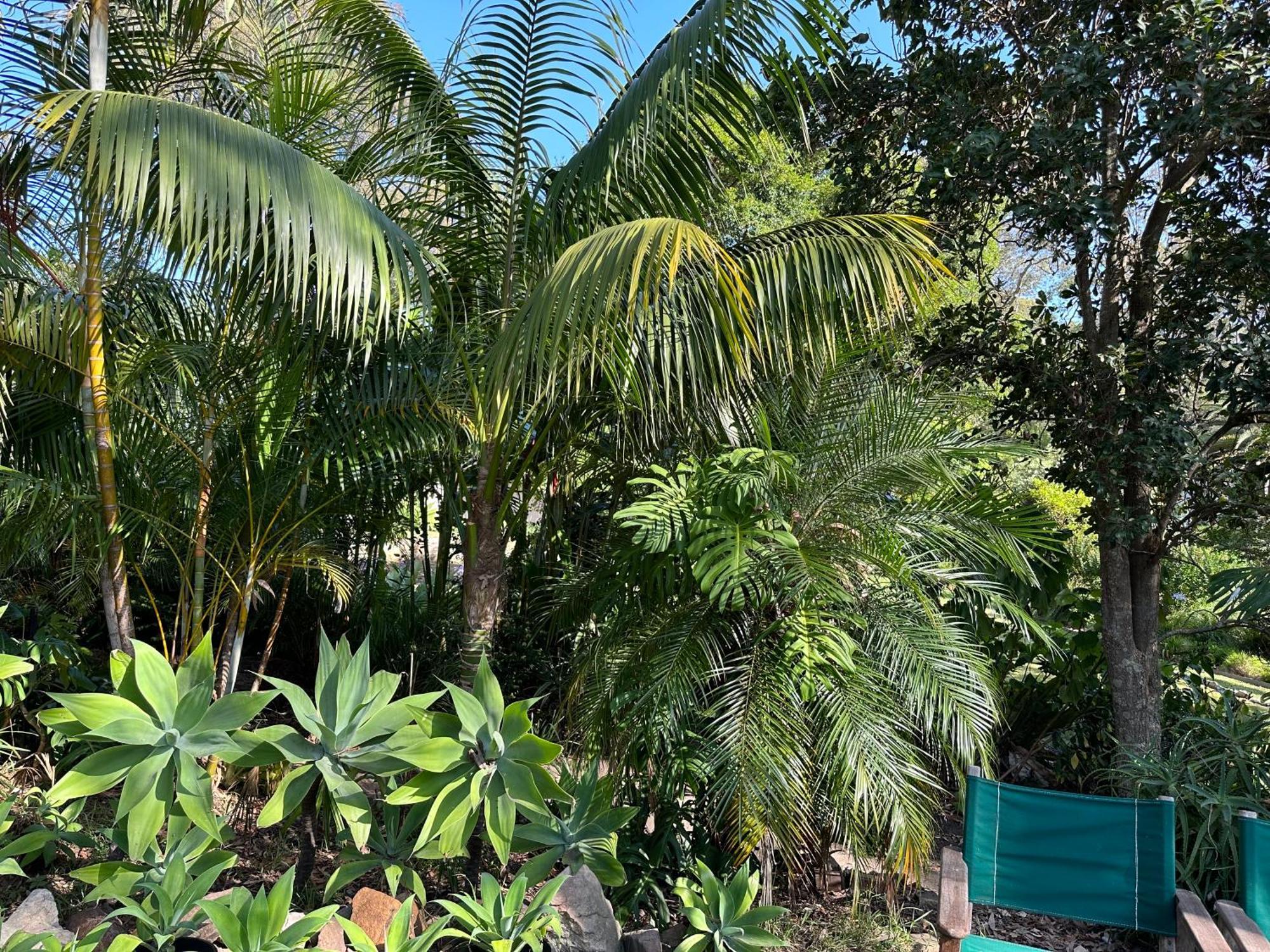Palm Beach Bed & Breakfast Dış mekan fotoğraf